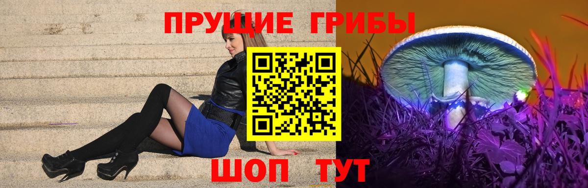 Галлюциногенные грибы мицелий  Вход с VPN  Избербаш 